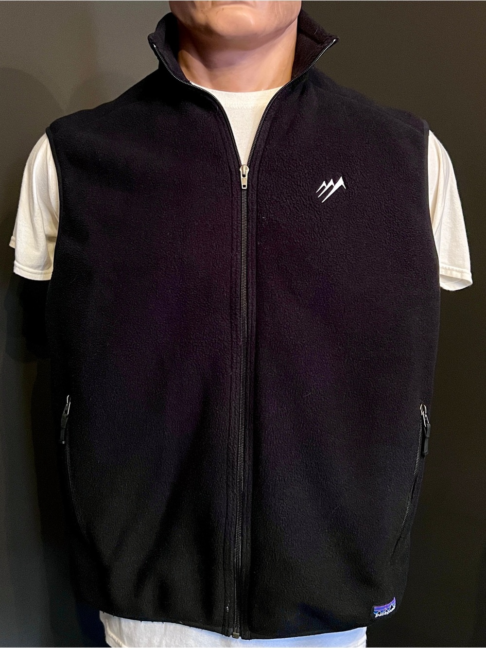 Patagonia Black Full-Zip Fleece Vest